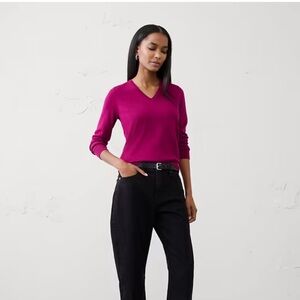 Banana Republic Forever V-Neck Sweater
